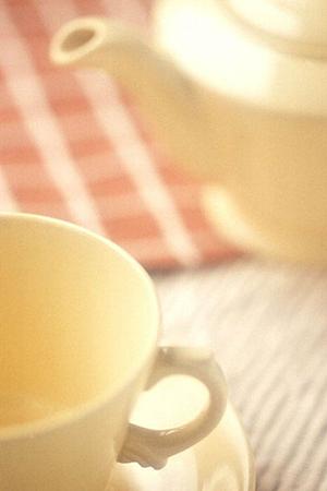 ガチャガチャの森:多彩なコレクションと遊び心あふれる店舗体験