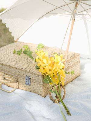 面白い素材の皿も製造している会社