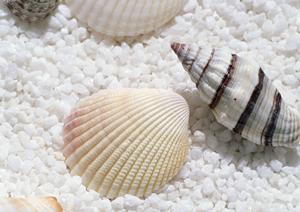 TOKAIモバイルショップの全面ガイド:サービス内容、特徴、店舗情報を徹底解説